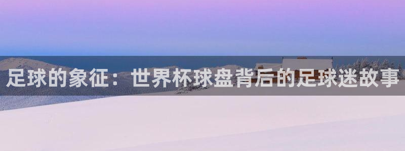 世界杯赛程表:足球的象征:世界杯球盘背后的足球迷故事