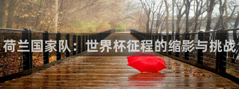 2026世界杯亚洲区预选赛赛程:荷兰国家队:世界杯征程的缩影与挑战