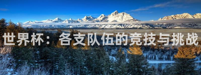 2026世界杯官网:世界杯:各支队伍的竞技与挑战
