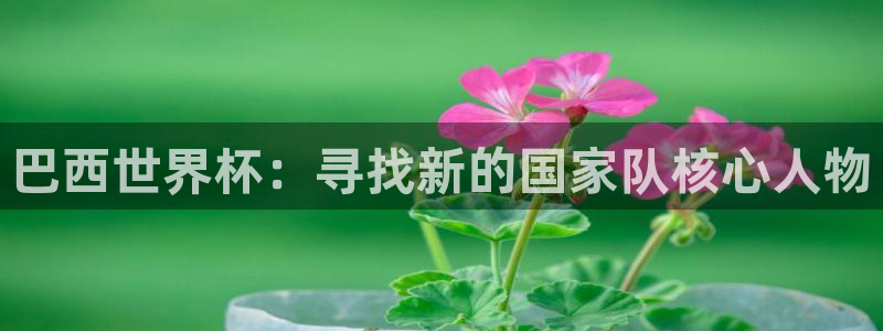 世界杯 直播:巴西世界杯:寻找新的国家队核心人物