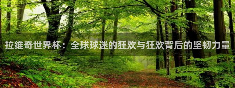 女足世界杯赛程:拉维奇世界杯:全球球迷的狂欢与狂欢背后的坚韧力量